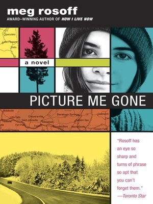 cover image of Picture Me Gone